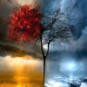 Meet your Posher, Cathy